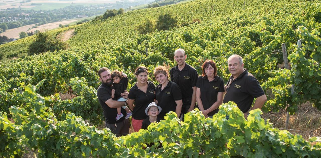 Ilbesheim Weinschloesschen Im Weingut Roos酒店 外观 照片