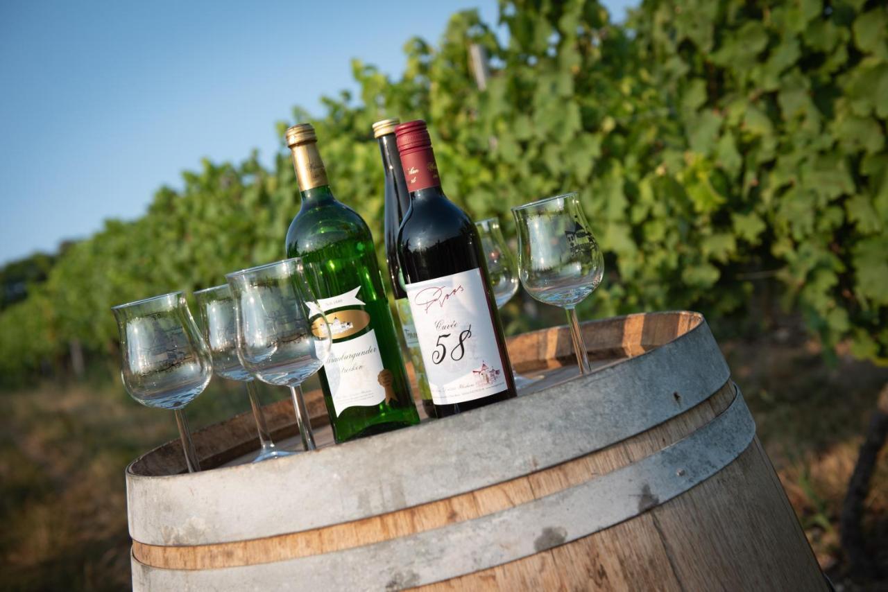 Ilbesheim Weinschloesschen Im Weingut Roos酒店 外观 照片